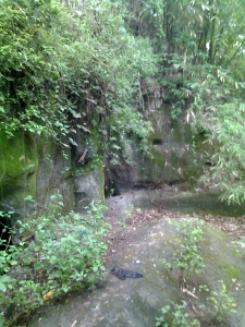 鶴3.jpg
