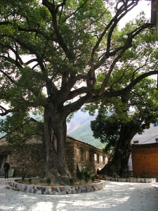 IMGP1758.JPG