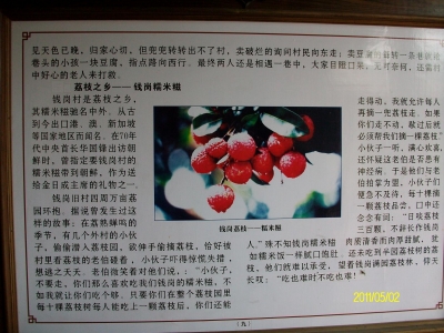 ALIM0934.JPG