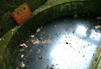 201121818425426435.jpg