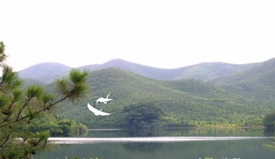 20081227212449_3564108625.jpg