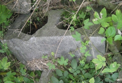 123_201011011137061QSaw.jpg