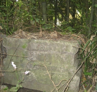 123_201011011136161oFKA.jpg