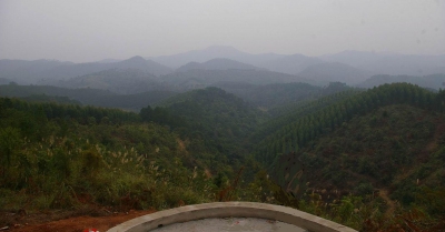 201011917273792.jpg