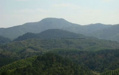 201183103111839.jpg