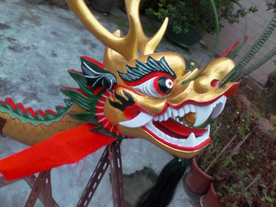 IMAGE_036.jpg